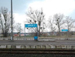 W Pawłowie będzie przystanek szynobusu?