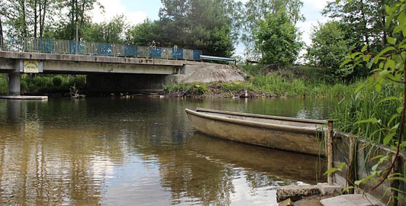 Jaskółki zablokowały budowę mostu w Małych Swornegaciach 