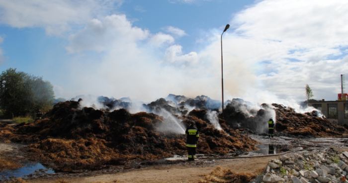 Podpalacze stogów w rękach policjantów