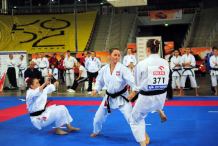 Medale mistrzostw świata w karate