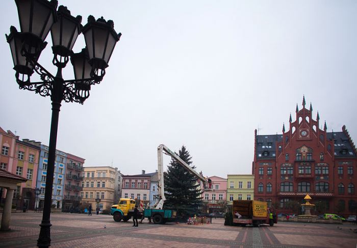 Choinka już na Starym Rynku 