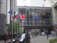 Bruksela na co dzień, czyli co nasi europosłowie robią w europarlamencie 
