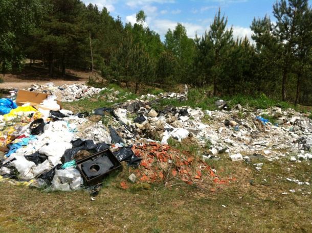Śmieci w lesie (FOTO)