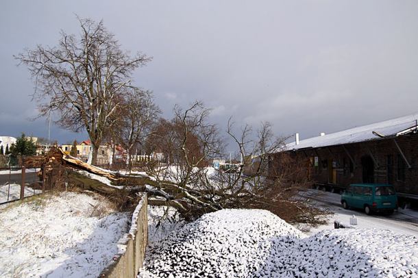 Wichury nad Pomorzem. Awarie prądu, zablokowane drogi (FOTO)
