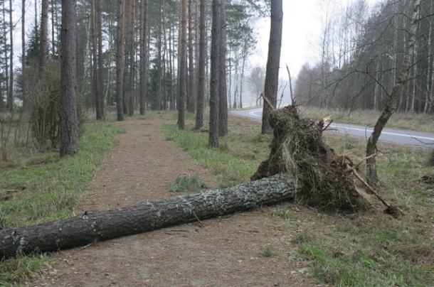 Kaszubska Marszruta nieprzejezdna
