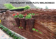 W Rzeczenicy zawiązuje się spółdzielnia socjalna