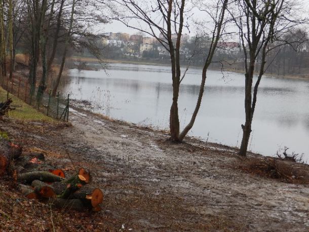 Ścieżka wokół jeziora Kaplicznego