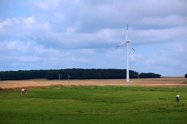 Samorządy procesują się o budowę farm wiatrowych