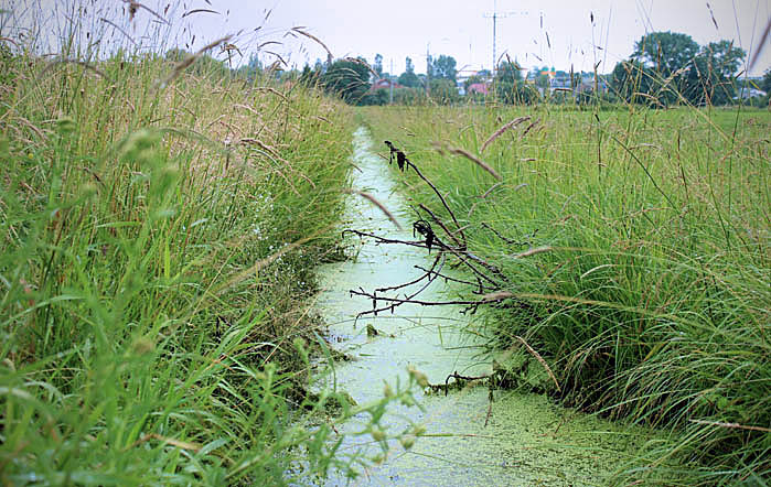 Wo-Kop zmodernizuje sieć kanalizacji deszczowej na Osiedlu Kolejarza