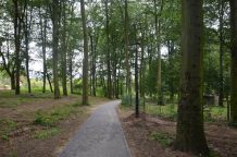 Park Miejski w Debrznie powoli odzyskuje dawną świetność