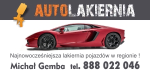 Auto-Lakiernia - Michał Gemba