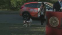 Wyleczyli jej Ebolę i odzyskała swojego psa