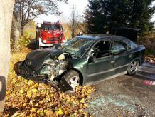 Opel uderzył w drzewo (FOTO)