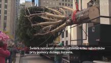 W Nowym Jorku już święta. Przed Rockefeller Center stanęła choinka