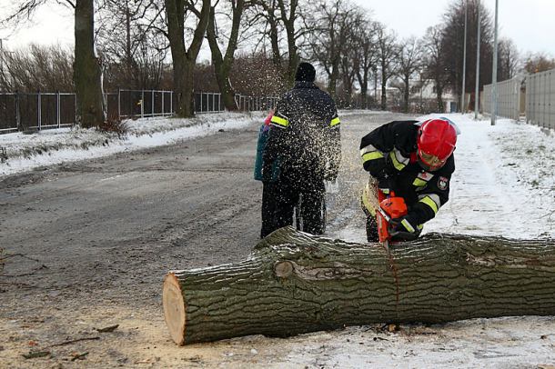 Powalone drzewa i uszkodzone słupy energetyczne