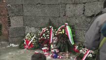Złożenie kwiatów pod Ścianą Straceń w Auschwitz