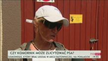 Psy na licytację. Czworonogi zostały zajęte przez komornika