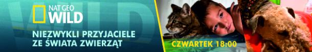 NAT GEO WILD - tu rządzi instynkt