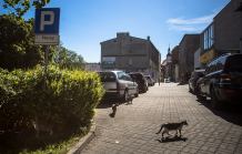 Jak parkować? Złe oznakowanie w centrum miasta? 