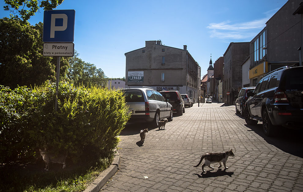 Jak parkować? Złe oznakowanie w centrum miasta?