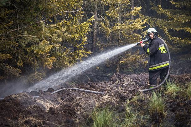 Pożar lasu w okolicach Antoniewa, w gminie Brusy (FOTO)
