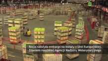 Kwiaty z UE niebezpieczne dla Rosjan. Moskwa nakłada kolejne embargo