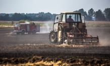 Pożar zboża na polu. Ogień strawił 6 ha żyta (FOTO) 