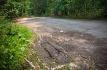 Fatalna droga nad jezioro Niedźwiedźie