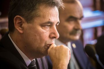 Obraz miniatury