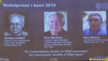 Przyznano Nobla z chemii. Laureaci wyjaśnili proces naprawy DNA