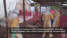 Nawrót eboli. Wirus przetrwał w ciele pielęgniarki. Kobieta w stanie krytycznym