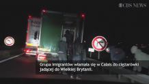 Imigranci włamali się do ciężarówki w Calais. Przywitał ich... niedźwiedź polarny