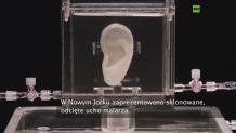W Nowym Jorku pokazano sklonowane, odcięte ucho Van Gogh&acute;a