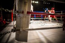 Cztery medale bokserów Boxing Team 