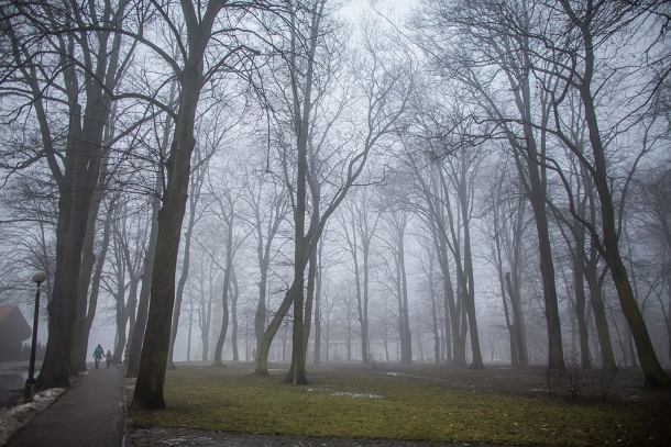 Pomysł na Wzgórze Ewangelickie w Chojnicach (FOTO)