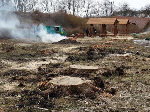 Kilkanaście drzew wyciętych przy promenadzie w Sępólnie Krajeńskim (FOTO)