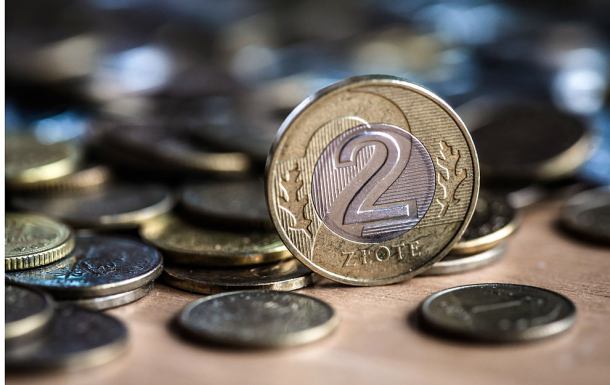 Stowarzyszenie na Rzecz Lokalnej Przedsiębiorczości z Chojnic zaprasza do internetowych licytacji na rzecz chorej Oliwki Stanki