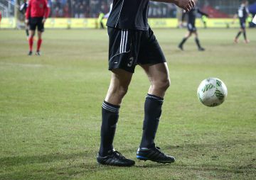 Obraz miniatury