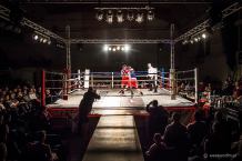 V Sępoleński Boxing Show już w sobotę 