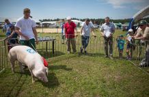 XXV Pomorskie Agro Targi (FOTO)