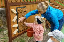 Piknik rodzinny "Bezpieczny maluch" w sępoleńskim żłobku