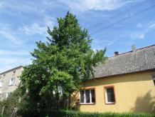 Drzewo wrasta w linię energetyczną. Operator nie interweniuje, mieszkańcy się boją