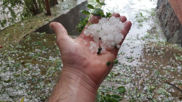 Gradobicie, wiatr, deszcz i powyrywane drzewa. Bytów po burzy (FOTO)