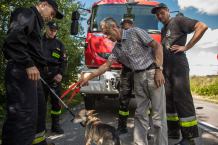 Pies wpadł do studni. Uratowali go strażacy (FOTO)