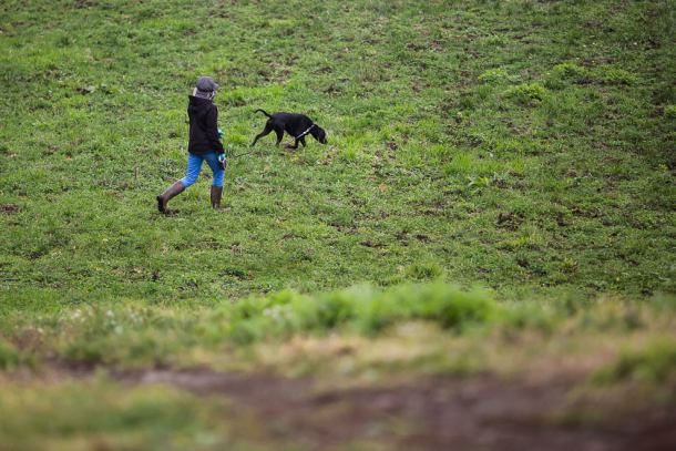 Władze Sępólna Krajeńskiego zamierzają ścigać osoby, które nie płacą podatku za psa