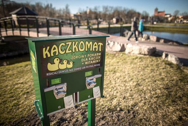 W Parku 1000-lecia w Chojnicach stanęły... kaczkomaty