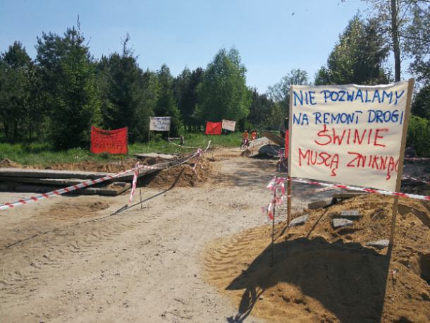 Nie chcą u siebie produkcji trzody chlewnej. Mieszkańcy Czarnej Dąbrówki blokują drogę
