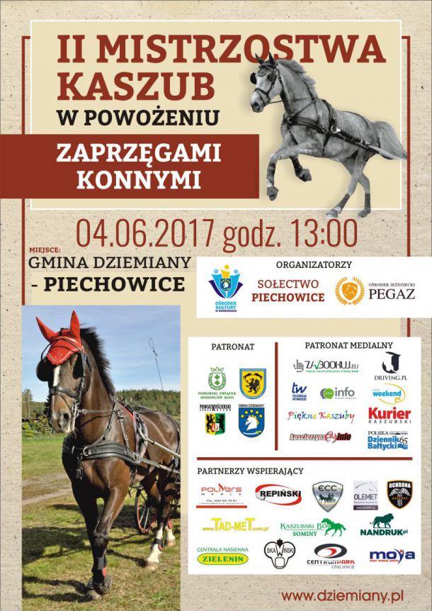 Mistrzostwa Kaszub w powożeniu zaprzęgami konnymi w Piechowicach