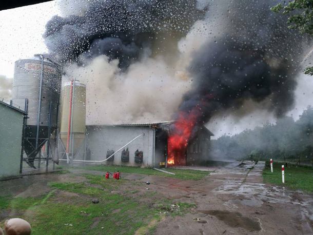 Groźny pożar na fermie drobiu w gminie Debrzno. Straty to 1,5 mln złotych