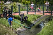 Ścieki w zbiorniku wodnym w chojnickim Parku 1000-lecia (FOTO)